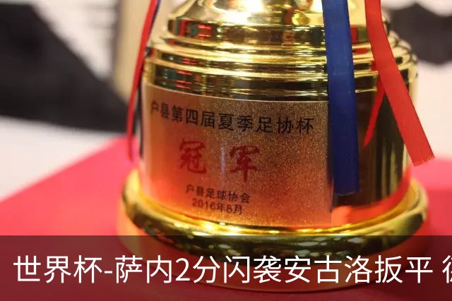 世界杯-萨内2分闪袭安古洛扳平 德国半场1-1厄瓜多尔